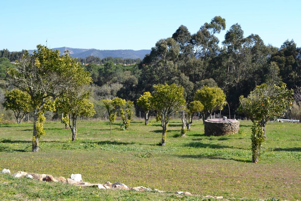 Herdade Do Freixial - Turismo Rural Vila Nova de Milfontes Exteriér fotografie